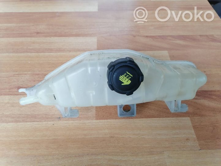 Renault Clio III Serbatoio di compensazione del liquido refrigerante/vaschetta 7701477290