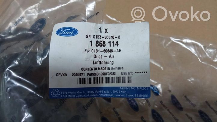 Ford Fiesta Tuyau d'admission d'air C1B16C646AH