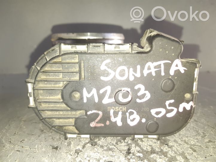 Hyundai Sonata Throttle valve 0280758180