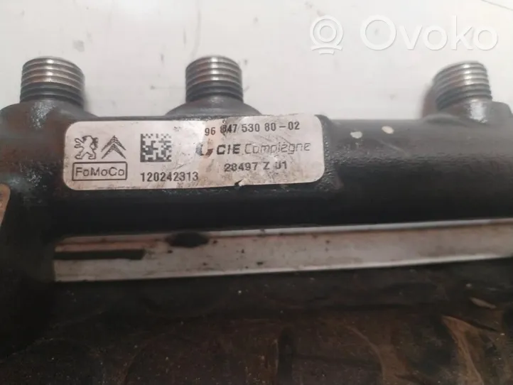 Citroen C4 Grand Picasso MONOINJEKTORI 9684753080-02