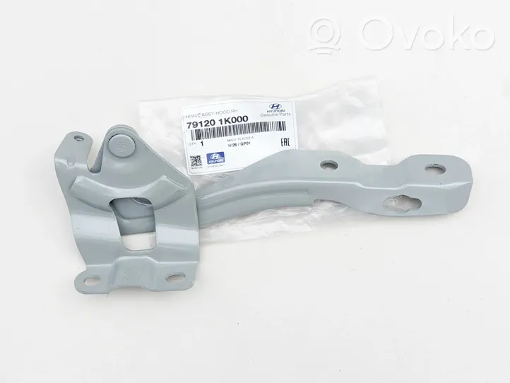 Hyundai ix20 Engine bonnet/hood hinges 79120-1K000