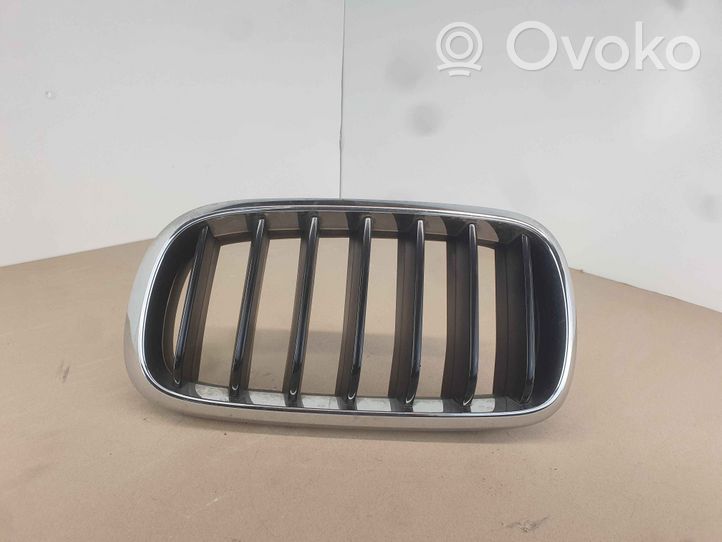 BMW X6 F16 Front grill 7316075