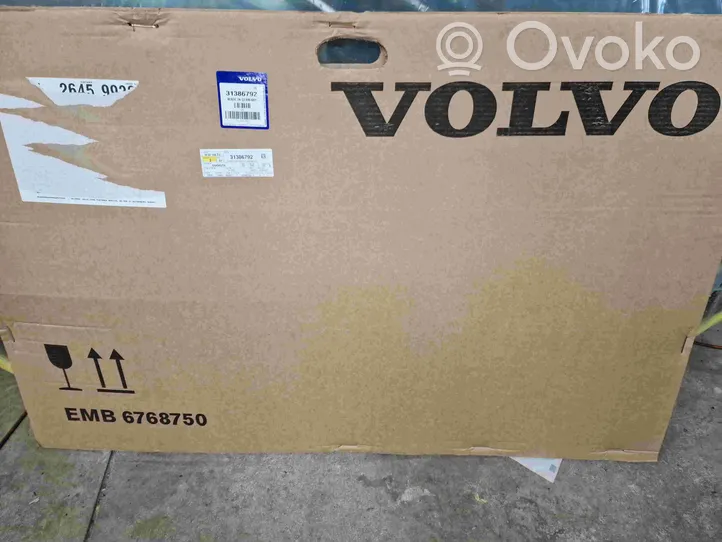 Volvo XC60 Vetro del finestrino della portiera anteriore - quattro porte 31386792