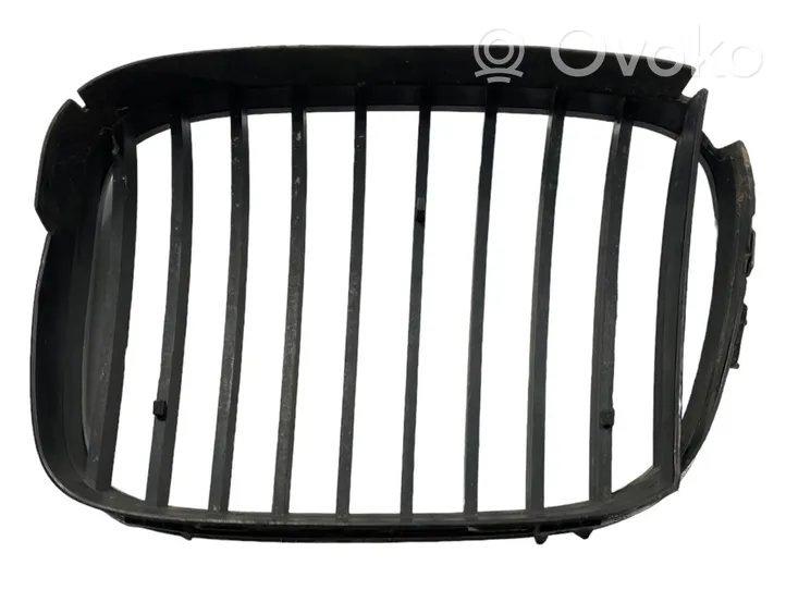 BMW 5 E39 Front bumper upper radiator grill 8159312