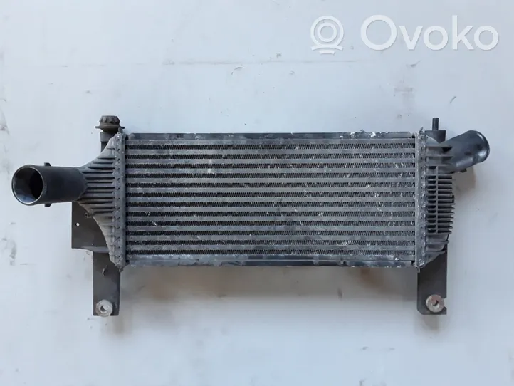 Nissan Navara Chłodnica powietrza doładowującego / Intercooler 14461EB360