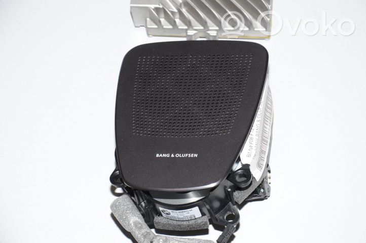 BMW M6 Audio system kit 65139224871