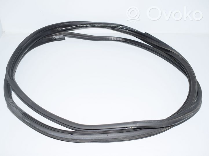 BMW i3 Front door rubber seal 7301741