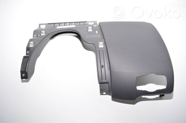 BMW X1 E84 Panelės apdaila 2992272