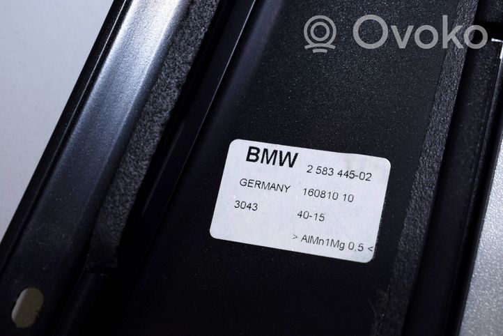 BMW 7 G11 G12 Listwa / Uszczelka szyby drzwi tylnych 2583445
