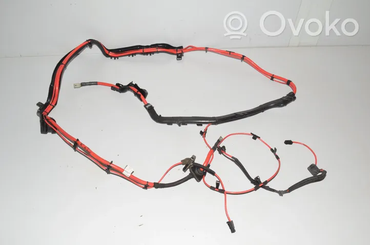 BMW X6 F16 Cavo positivo (batteria) 