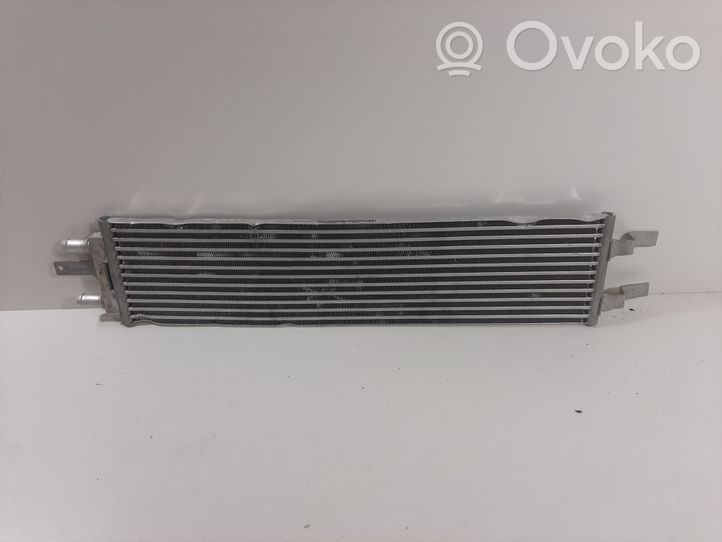 Volvo XC40 Radiatore opzionale P32222121