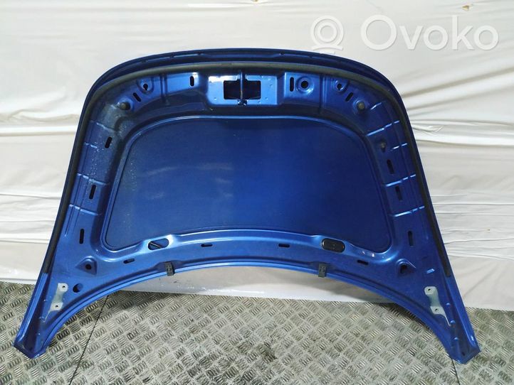 Volkswagen New Beetle Engine bonnet/hood 