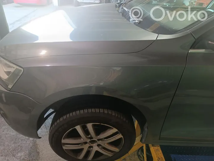 Volkswagen Jetta V Front arch 