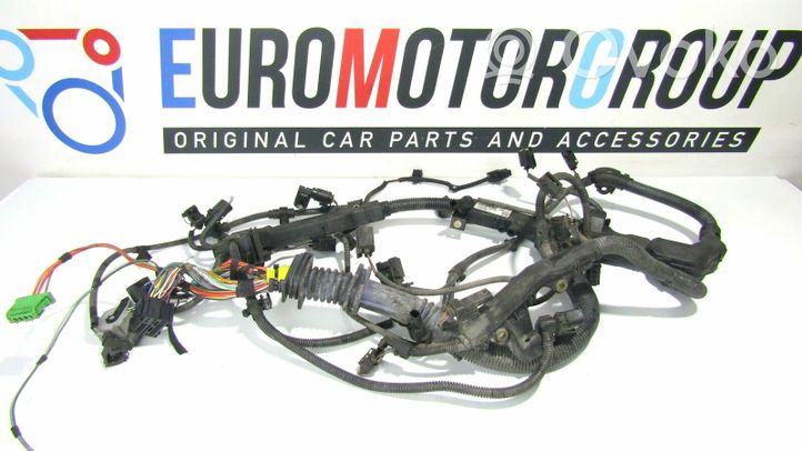 BMW X5 E70 Faisceau de câblage pour moteur 014536