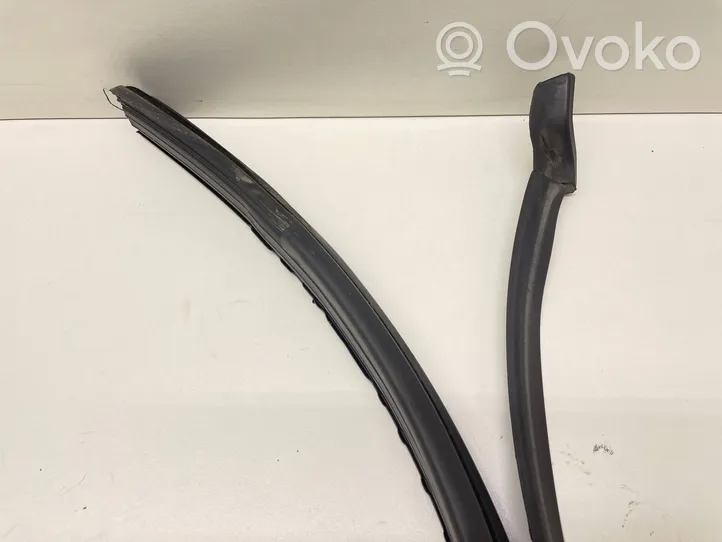 Volkswagen Tiguan Rear door glass trim molding 5N0839431