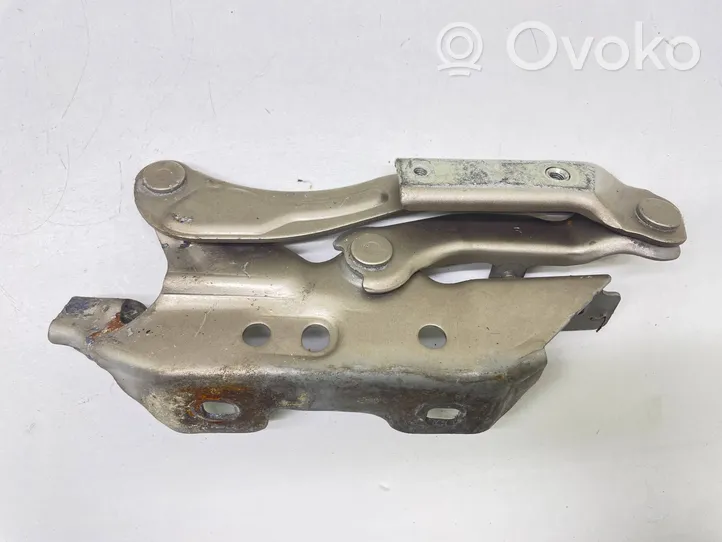 Mercedes-Benz A W169 Cerniere del vano motore/cofano A1698800228