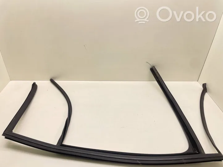 Volkswagen Tiguan Guarnizione in gomma finestrino/vetro portiera posteriore 5N0839431F