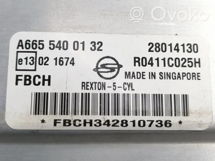 SsangYong Rexton Sterownik / Moduł ECU A6655400132