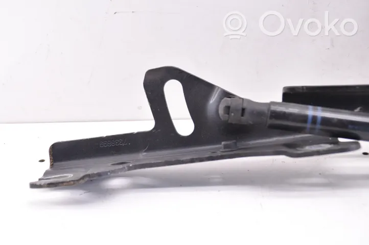 BMW 1 F20 F21 Cerniere del vano motore/cofano 7336699