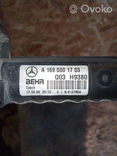 Mercedes-Benz B W245 Aušinimo skysčio radiatorius A1695001703