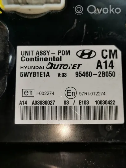Hyundai Santa Fe Sterownik / Moduł centralnego zamka 954602B050