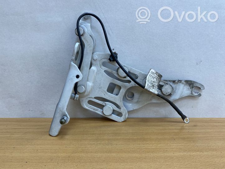 BMW X5 E70 Cerniere del vano motore/cofano 714834811