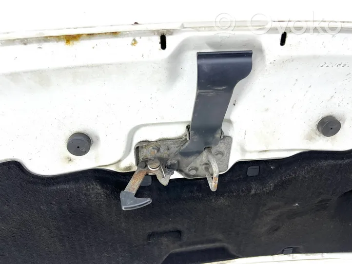 Volkswagen Transporter - Caravelle T5 Engine bonnet/hood 