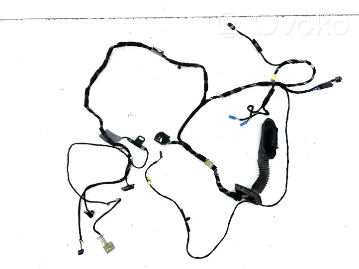 BMW X5 E70 Cablaggio porta anteriore 9116976