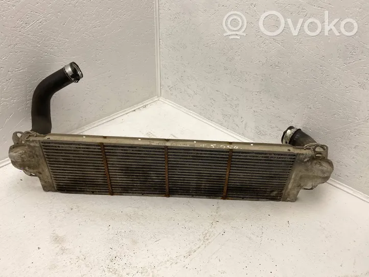 Volkswagen Transporter - Caravelle T5 Intercooler radiator 7H0145804B