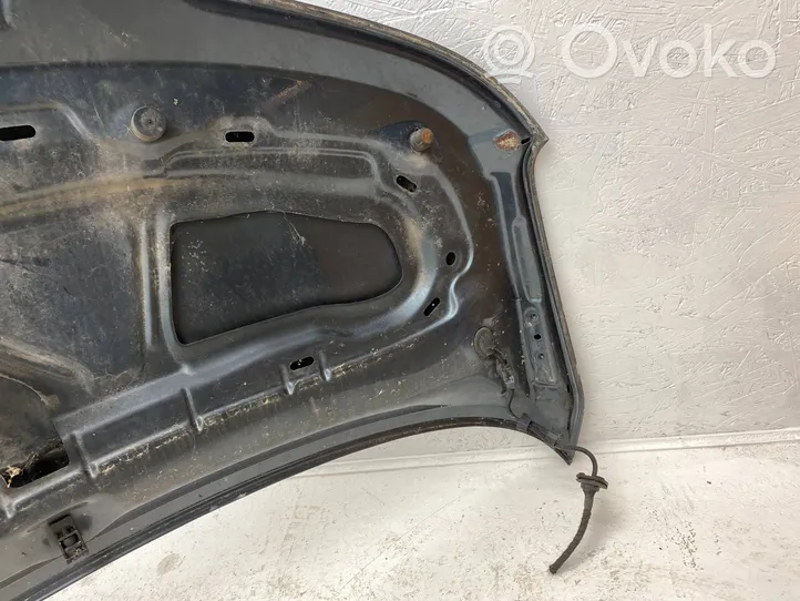 Volkswagen Transporter - Caravelle T5 Engine bonnet/hood 