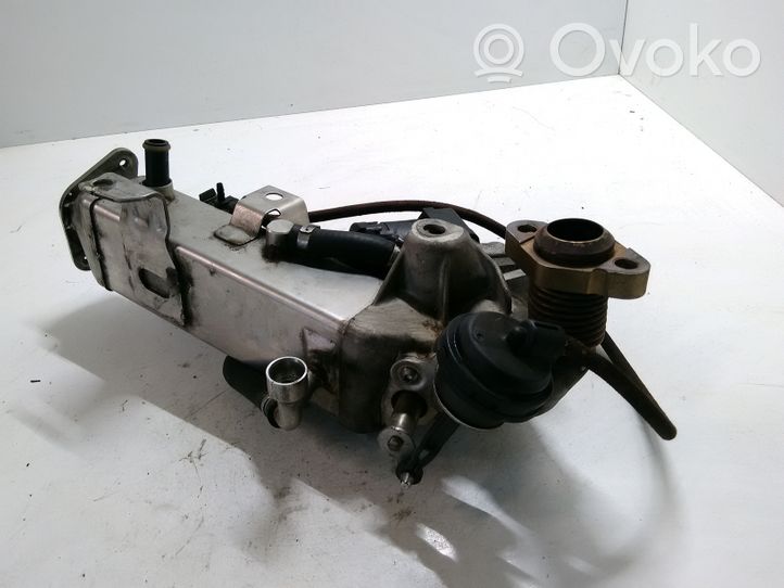 BMW 3 E90 E91 EGR aušintuvas 781087102