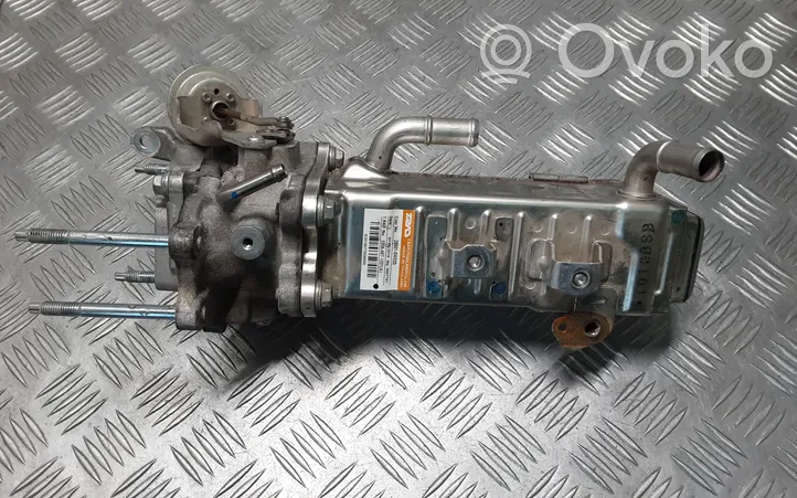 Toyota Land Cruiser (J150) EGR aušintuvas 256810W020