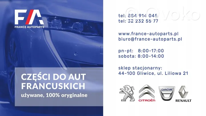 Peugeot 3008 I Altre centraline/moduli 9666326080