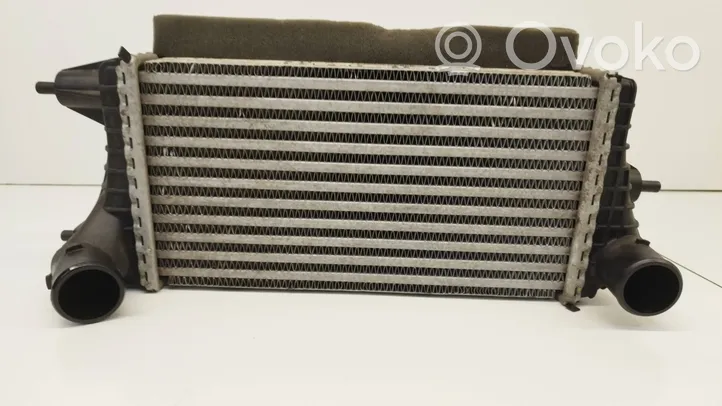 Suzuki Baleno IV Intercooler radiator Y697001