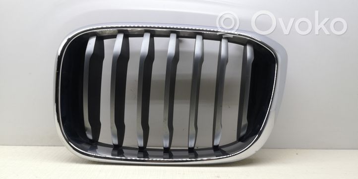 BMW X3 G01 Maskownica / Grill / Atrapa górna chłodnicy 8091725