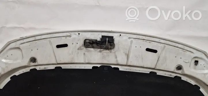 Volkswagen Tiguan Pokrywa przednia / Maska silnika 