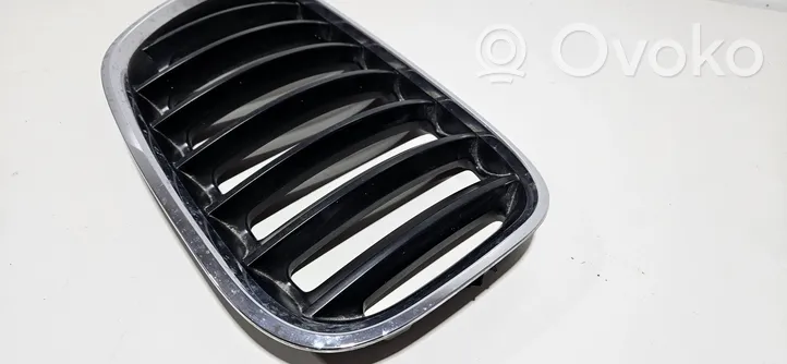 BMW X5 E53 Atrapa chłodnicy / Grill 51137113738