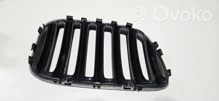 BMW X5 E53 Atrapa chłodnicy / Grill 51137113737