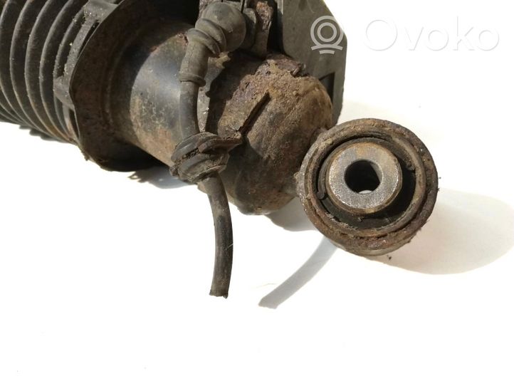 Porsche Cayenne (9PA) Ammortizzatore/sospensione pneumatica 7L5512021AL