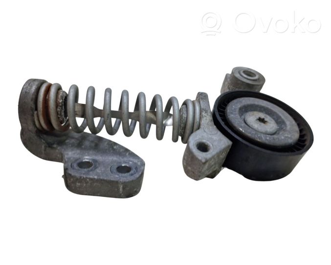 Volvo V40 Tendicinghia generatore/alternatore 