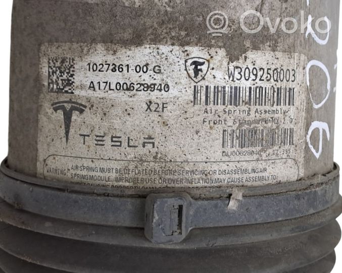 Tesla Model X Ilmajousituksen etuiskunvaimennin 102736100G