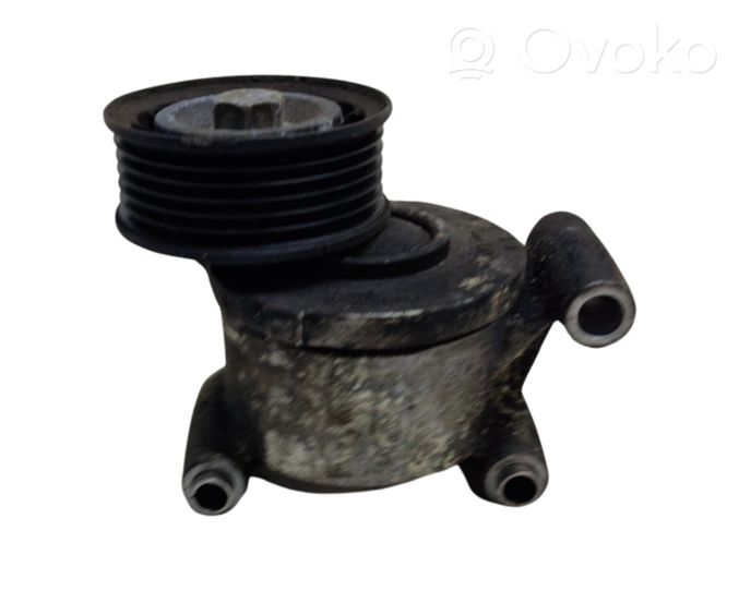 Volvo S40 Tendicinghia generatore/alternatore 3M5Q6A228AD