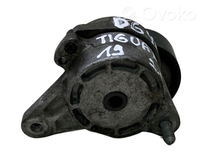 Volkswagen Tiguan Napinacz paska wielorowkowego / Alternatora 04L903315D