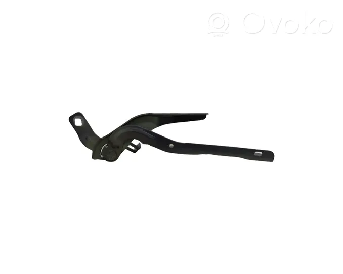 Citroen C4 III e-C4 Cerniere del vano motore/cofano 9831199680