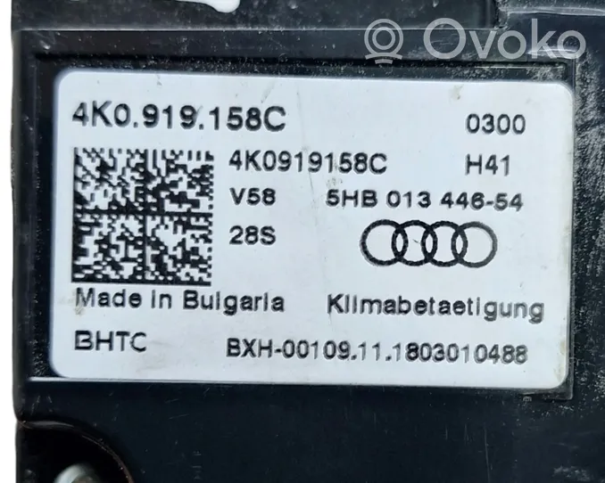 Audi e-tron Centralina del climatizzatore 4K0919158C