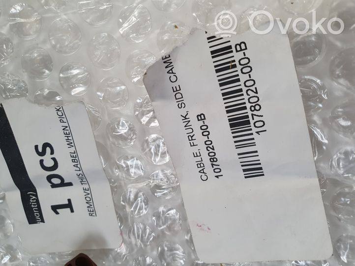 Tesla Model X Cavo maniglia portiera di carico 107802000B