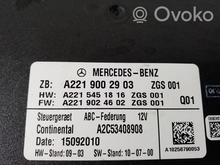 Mercedes-Benz CL C216 Centralina/modulo sospensioni A2219002903