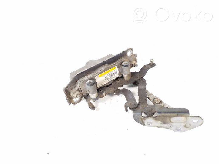 Mercedes-Benz E C207 W207 Cerniere del vano motore/cofano A2129066201