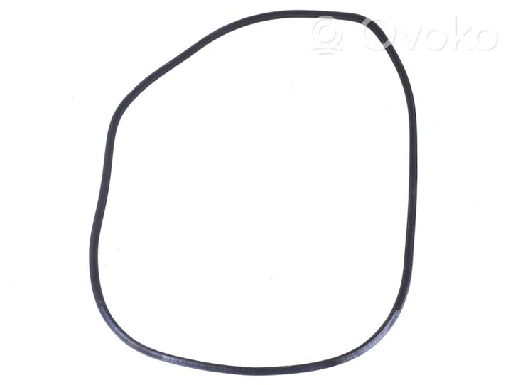 Infiniti FX Front door rubber seal 769211CA0A