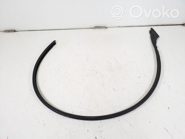 Mercedes-Benz CL C216 Front door rubber seal A2167200578